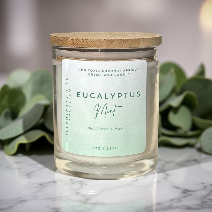 Eucalyptus and Mint candle, full jar